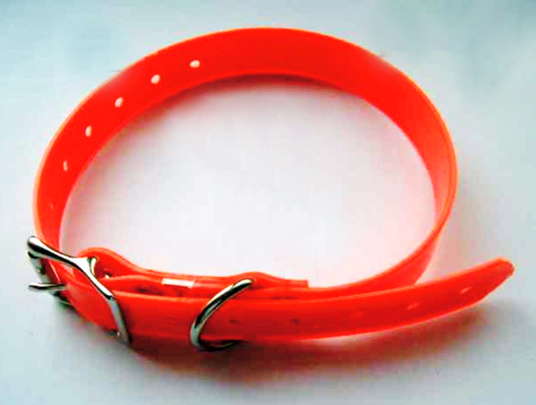 pets-collar-012