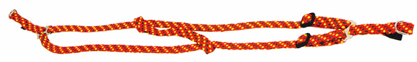 pets-collar-019